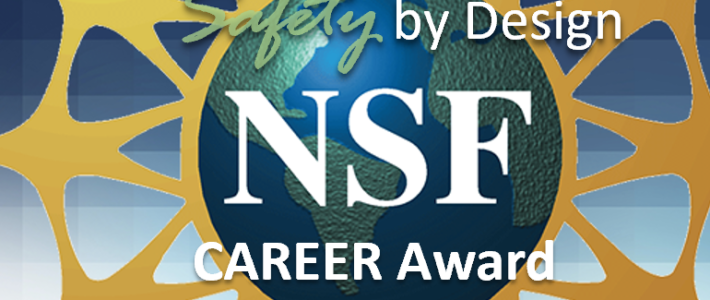 NSF CAREER Award
